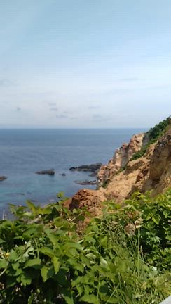 北海道のBlueの記事動画