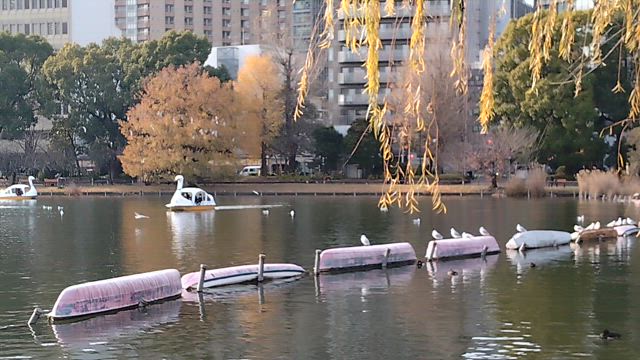 【冬至】波動アゲアゲ隊でお出かけしてきましたの記事動画