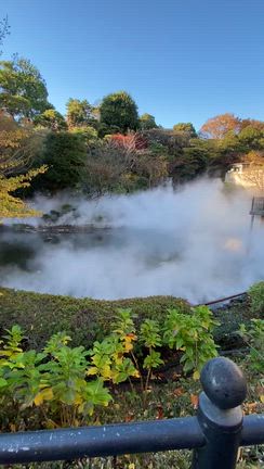 椿山荘の静けさで、五感を修復の記事動画