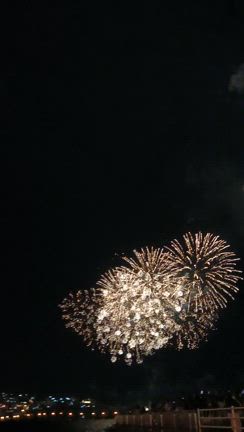 ◆日本の夏！　花火の夏！　ついでに選挙の夏(笑)の記事動画