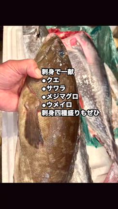 刺身四種盛り♪の記事動画