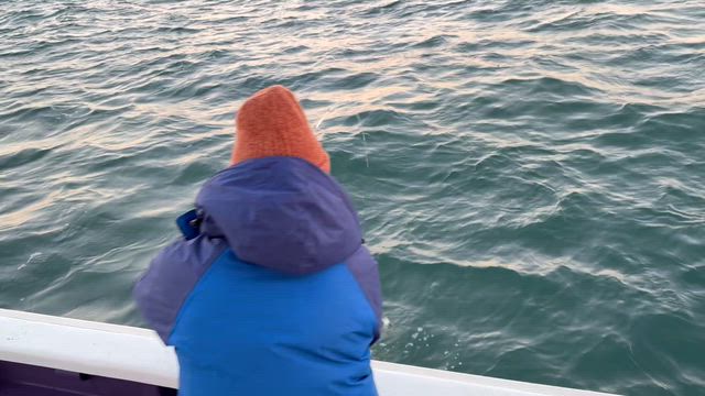 潮流れずピンポイント攻め！の記事動画