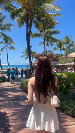 HAWAIIの記事動画