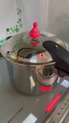 三代目は～コレに決めた！時短でやわらか美味しい煮込み♡(´艸｀*)♪の記事動画