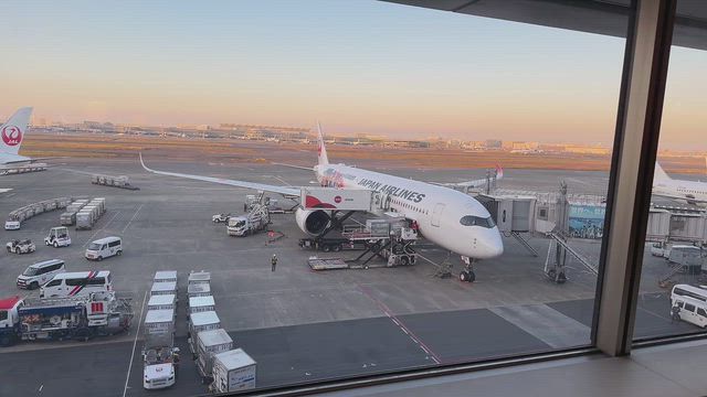 愛媛県への記事動画