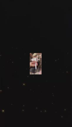 猫の歯磨きその後、またまた…の記事動画