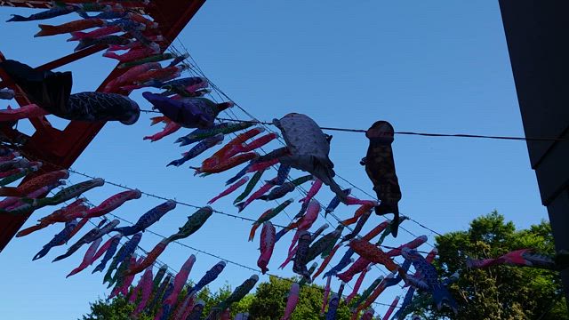 うっぷん晴らしの記事動画