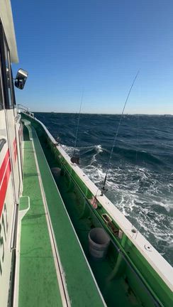 東京湾『タチウオ釣り』。の記事動画