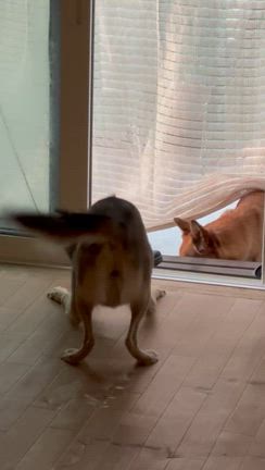 また１つの記事動画