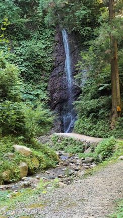 まだまだ修業がたらぬ！の記事動画