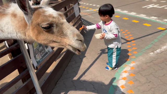 【秩父ロープウェイ】山の上の動物園、家族の成長の記事動画