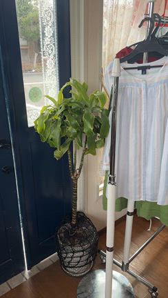 フリマ2日目❗️明日がラストです❗️の記事動画