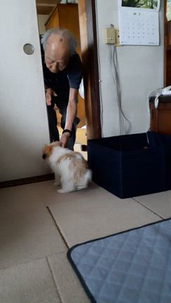 MOCOちゃんのお留守番の記事動画