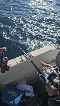 ここ最近は～～の記事動画