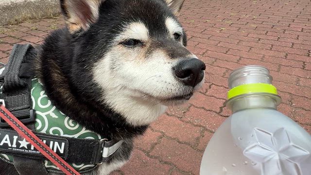 タツの母さんのプロフィールページ