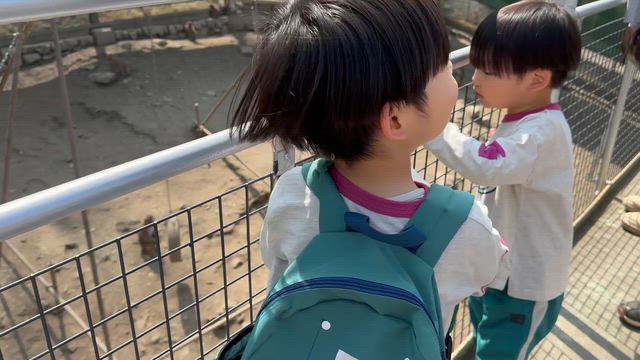 【秩父ロープウェイ】山の上の動物園、家族の成長の記事動画