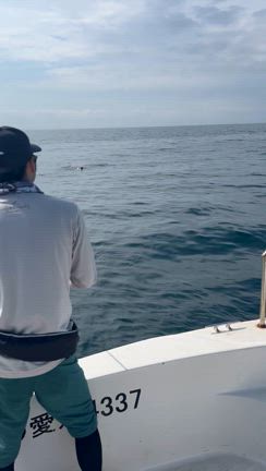 水面炸裂‼︎の記事動画