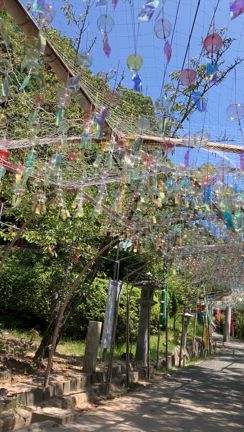 平日の宮地嶽神社は丁度いいの記事動画