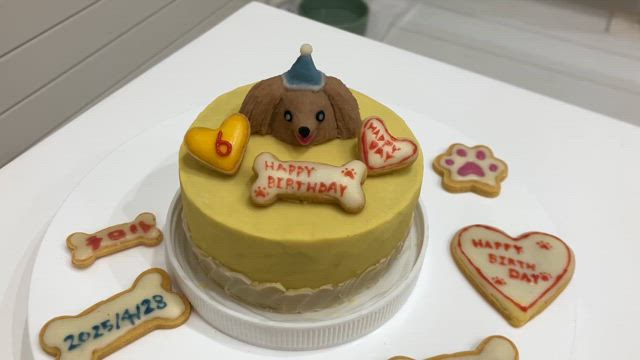 お犬様ケーキの記事動画