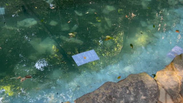 ずっと行ってみたかった場所への記事動画