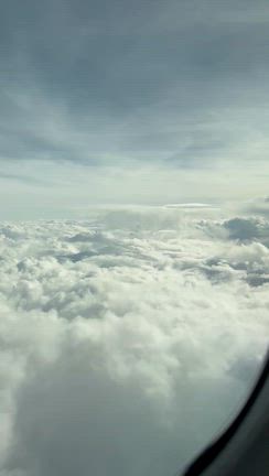 刺激的すぎる蓮沼『バモスカレー』の記事動画