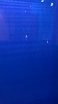 講演会前にプチ観光＠北海道網走市の記事動画