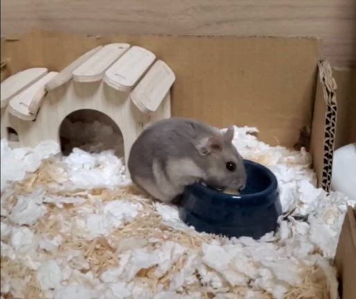 ◇昨日ゎ月誕生日◇の記事動画