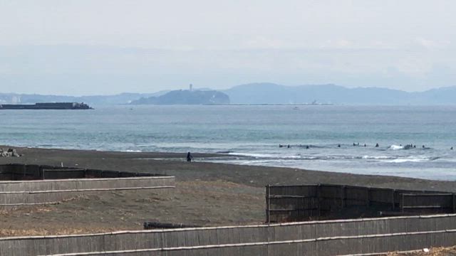 今期初2025の記事動画