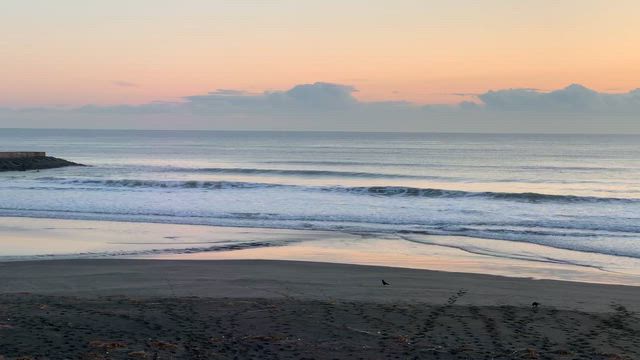 12月17日千葉北、東浪見の朝の波の記事動画