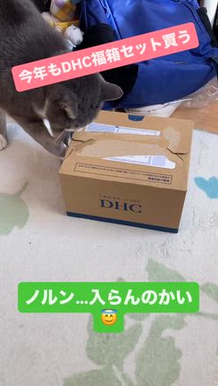 年末近いねーの記事動画