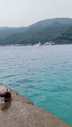 キレイ過ぎる海の目の前にある鳥居が神秘的な沼津の諸口神社の記事動画