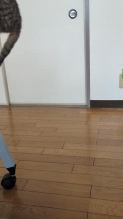 リサーチは大切！！の記事動画