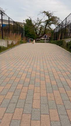 血液検査の経過の記事動画