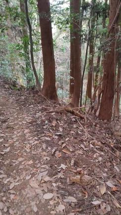 自分の気持ちを言葉にしたら、全て冒頭に【自分は】を付けると、意味が変わるの記事動画