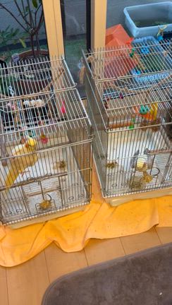 衝撃が過ぎる。。。！！！の記事動画