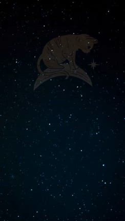 【募集開始!】2025年の運命を切り拓く特別鑑定〜新しい年に向けた心の準備できてますか？〜の記事動画