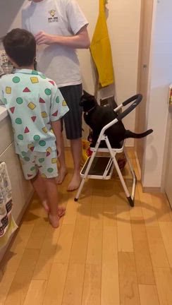 まだ、涙が止まらない時もあるの記事動画