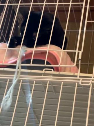 近況報告・あとちょっとの記事動画