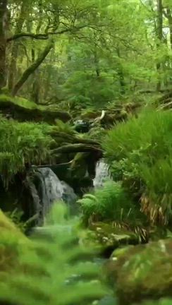 ８月８日の運勢「残暑お見舞い申し上げます」の記事動画