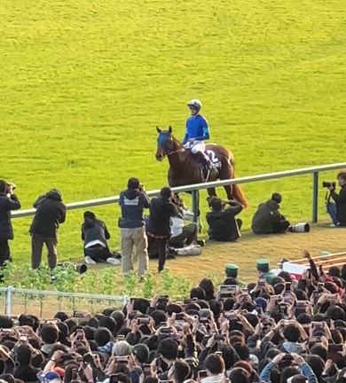 中京競馬場　レモンポップの引退レースの記事動画