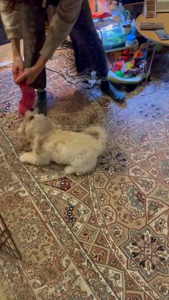 やっちゃんさんのプロフィールページ