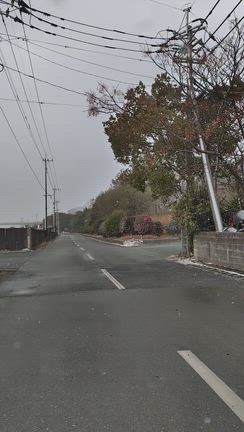 ２月８日１日中爆風✨の記事動画