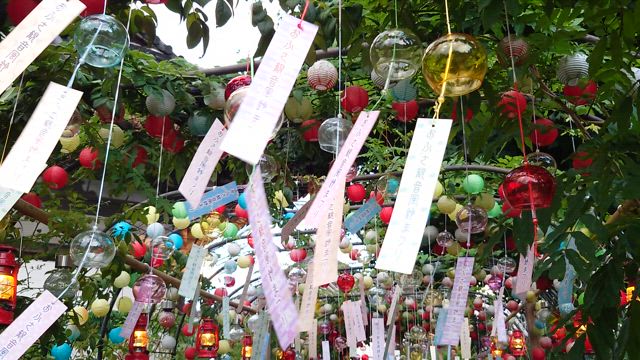 おふさ観音　風鈴祭り　ライトアップの記事動画