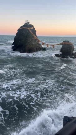 何度も目の前に現れるの記事動画