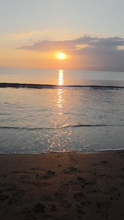 現実をいい感じにしたい人は波動あげてこ！の記事動画