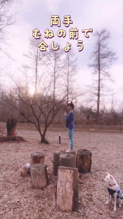 ヨガってどんな事するの？呼吸に合わせて動くって何？の記事動画