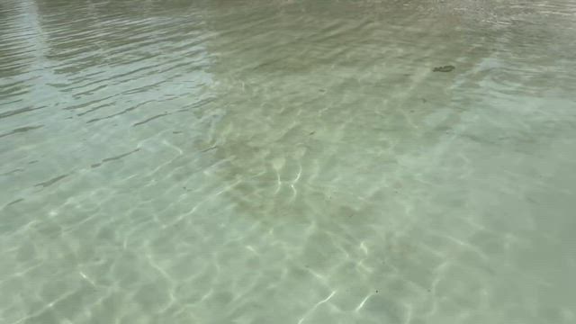 【グアム旅行⑩】海でシュノーケリング♥楽しすぎる〜⸜( ˃ ᵕ ˂ )⸝ ♪動画ありの記事動画