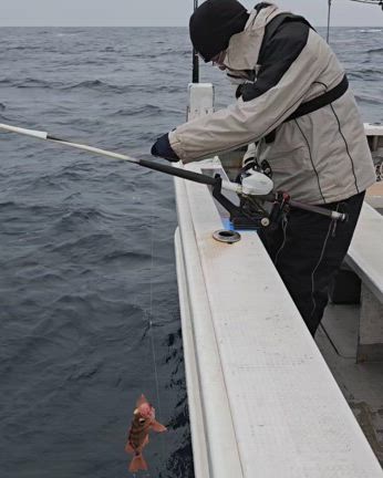 24日(月曜)オキメバルの記事動画