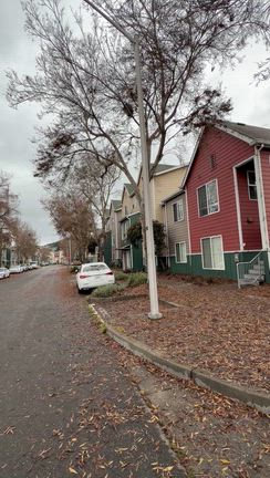 カリフォルニアDAY４の記事動画