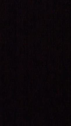 12月17日水曜日の記事動画